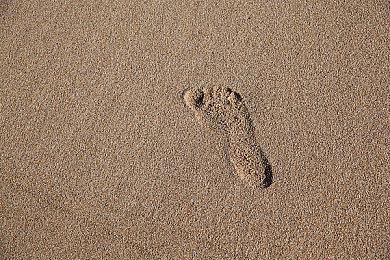 狼人游戏《杰克与侦探》steam页面开放 今冬正式发售